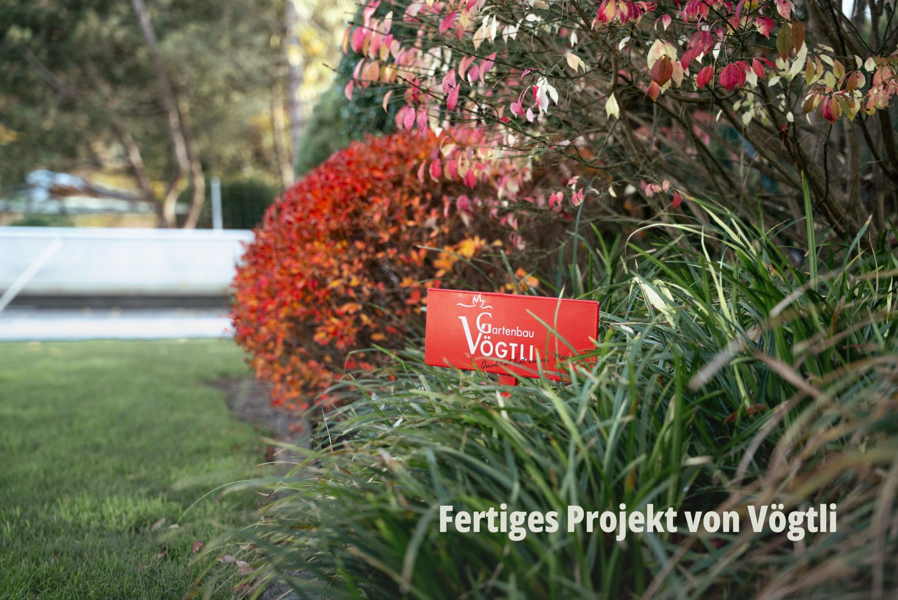 Detailaufnahme aus einer Garten-Referenz durch SR-STUDIOS: Ein knallrotes Firmenschild der Vögtli Gartenbau GmbH inmitten von grünen Gräsern und herbstlich gefärbten Sträuchern. Fokus auf Markenpräsenz. | SR-STUDIOS