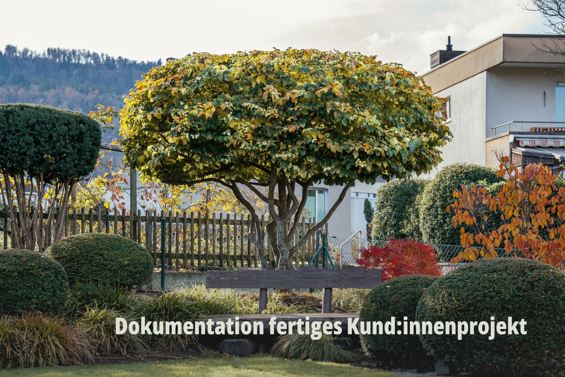 Architektur- und Gartendesign-Fotografie durch SR-STUDIOS: Eine perfekt geschnittene Hecke und Formschnitt-Gehölze rahmen eine edle Holzbank in einer modernen Gartenanlage ein; Vögtli Gartenbau. | SR-STUDIOS