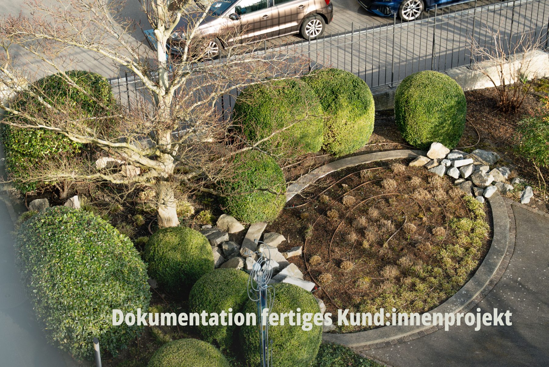 Top Down Perspektive einer Gartenanlage: Kreative Bildkomposition von runden, perfekt gepflegten Buchsbäumen und einem geschwungenen Beet aus der Vogelsperspektive. Fotografie für Vögtli Gartenbau von SR-STUDIOS. | SR-STUDIOS